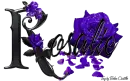 Violet Roses - Rosalie