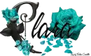 Aqua Roses - Clara