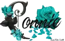 Aqua Roses - Connie