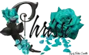 Aqua Roses - Chrissi