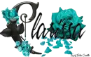 Aqua Roses - Clarissa