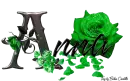Green Roses - Anna