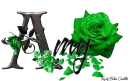 Green Roses - Amy