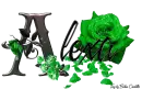 Green Roses - Alexa