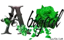 Green Roses - Abigail