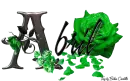 Green Roses - Abril