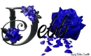Blue Roses - Debb