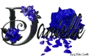 Blue Roses - Danielle