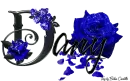 Blue Roses - Dany