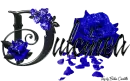 Blue Roses - Dulcinea
