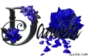 Blue Roses - Daniela