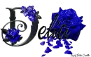 Blue Roses - Delia