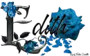 Light Blue Roses - Edith