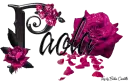 Pink Roses - Paola