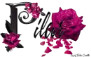 Pink Roses - Pilar