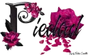 Pink Roses - Piedad