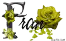 Yellow Roses - Fran