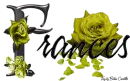 Yellow Roses - Frances