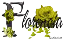 Yellow Roses - Florencia