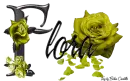 Yellow Roses - Flora