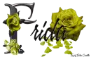 Yellow Roses - Frida