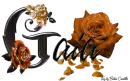 Orange Roses - Gaia