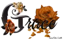 Orange Roses - Grace