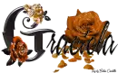 Orange Roses - Graciela