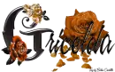 Orange Roses - Gricelda