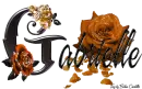 Orange Roses - Gabrielle