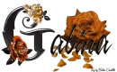 Orange Roses - Gabina