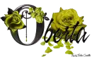 Yellow Roses - Oberta