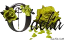 Yellow Roses - Odelia