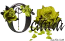 Yellow Roses - Octavia