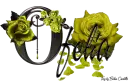 Yellow Roses - Ofelia