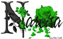 Green Roses - Narcisa