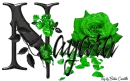 Green Roses - Nayara