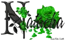 Green Roses - Natacha