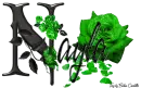 Green Roses - Nayla