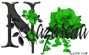 Green Roses - Nazarena