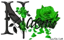Green Roses - Naomi