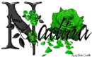 Green Roses - Nadina