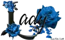 Light Blue Roses -  Lady