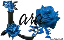 Light Blue Roses - Lara