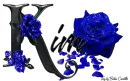 Blue Roses - Kim