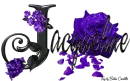 Purple Roses - Jacqueline
