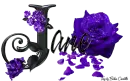 Purple Roses - Jane