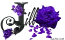 Purple Roses - Jill