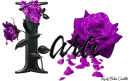 Purple Roses - Iara