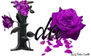 Purple Roses - Ida